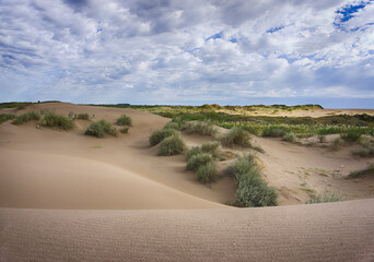 Fototapeta na wymiar Large area of dunes on the seashore covered with autochthonous vegetation. Sky with many clouds.