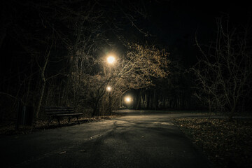 ciemny ponury park w nocy z alejką i latarniami