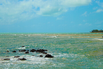 Sunny day at the beach