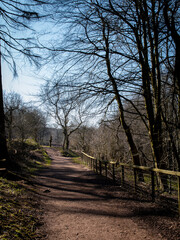 the forest paths of clent