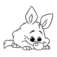 Little fox animal parody character illustration cartoon coloring