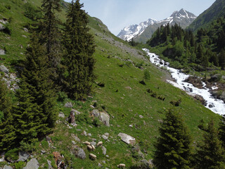 View of the green valley with the river. Switzerland, Alps.
