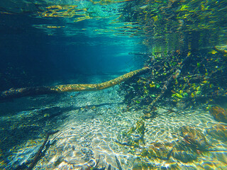 underwater view