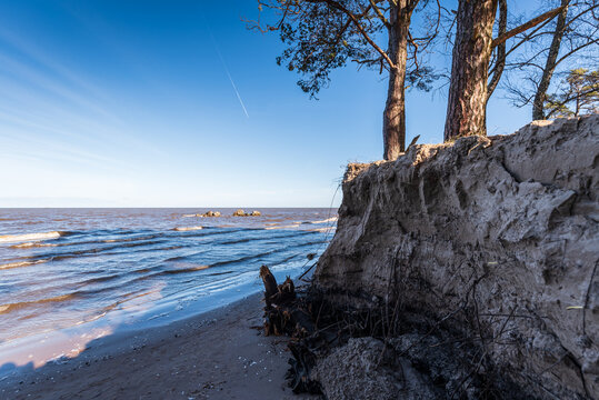 Cape Kolka with stones in water, dune and Baltic sea, Kolka, Latvia.