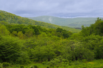 Obraz premium Green, forested, valley and hills on an overcast, misty day