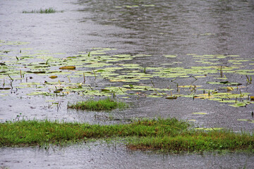 lake
