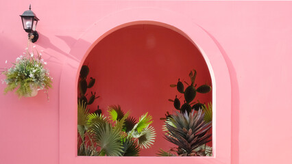 Daylight shot of beautiful plants on the background of pastel pink wall
