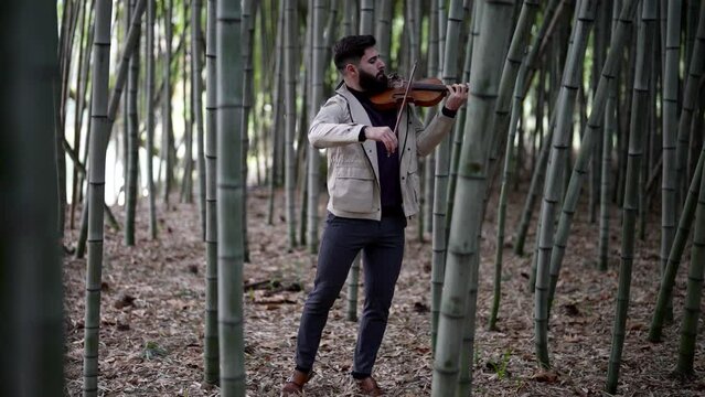 violinist is playing fiddle in bamboo grove, musical rehearsal or gig in nature