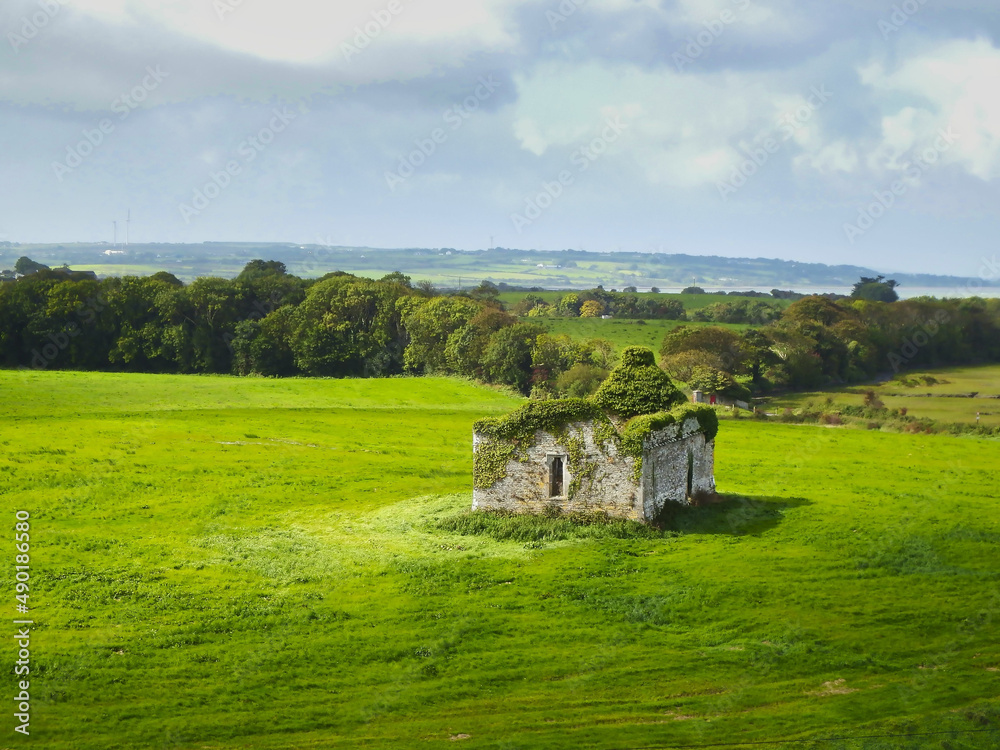 Canvas Prints typical green overgrown decayed stone house in Ireland