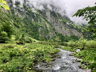 Scenic view of a river in the forest in Konigssee, Germany