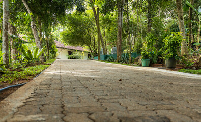 Brick pathway leading to the small house in the park with dense vegetation