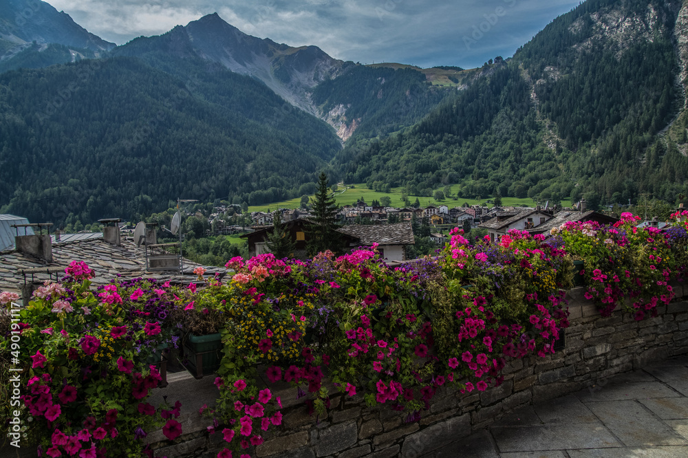 Sticker Closeup shot of beautiful pink flowers on the stone fence with high mountains in the background