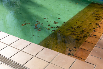 Closeup of a dirty swimming pool background