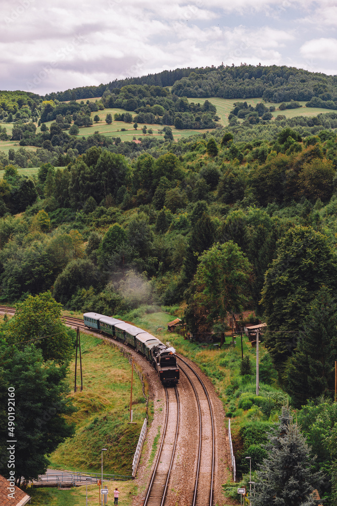 Sticker steam engine train traveling through country in summer