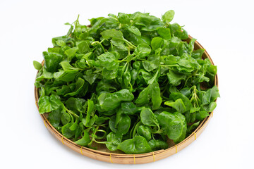 Watercress in bamboo plate on white background