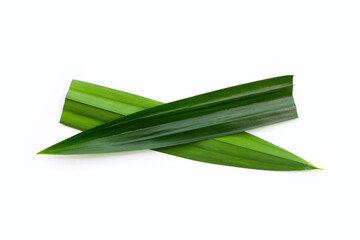 Fresh pandan leaves on white background.