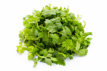 Coriander leaves on white background.