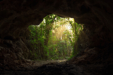 Beautiful view of the green plants captured from the dark cave in spring - obrazy, fototapety, plakaty