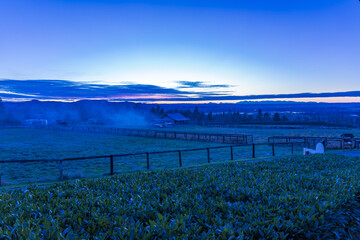 Landscape of barns in a ranch surrounded by fences covered in the fog in Monroe, Washington
