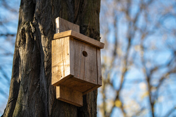Wooden bird house hanging from the tree in forest park, with the circle shaped entrance hole. Handmade wood shelter for birds to spend the winter.