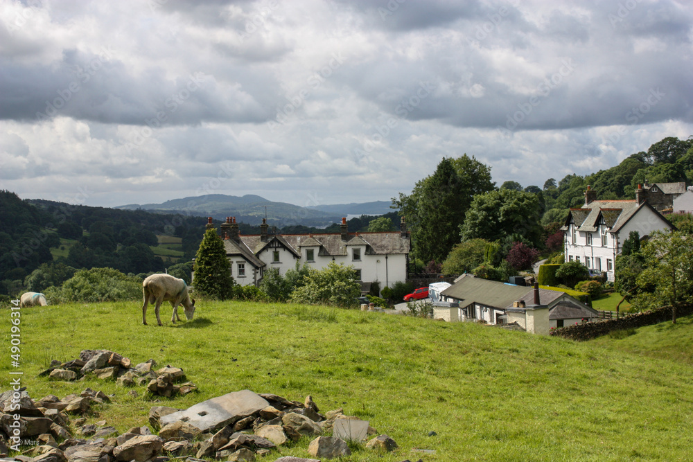 Poster Beautiful view of a green field with houses in a daylight