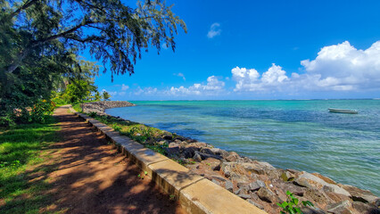 paradisiacal blue sea with palm trees