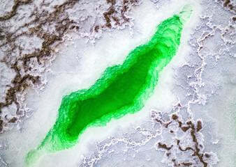 Closeup of a green liquid in the crack of the ground
