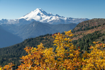 Landscape of Mount Baker covered in the snow and greenery under the sunlight in Washington State