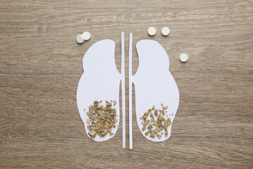 Paper cutout of kidneys with stones and pills on wooden table, flat lay