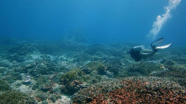 scuba diver girl swimming in strong current to correct plastic from the reef
