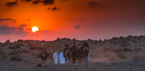Closeup of people migrating on camels