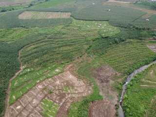 
Aerial view The fertile corn gardens in Indonesia produce carbohydrate foods other than wheat and rice ind Kendal Regency As a basic ingredient of cornstarch and can be used for animal feed