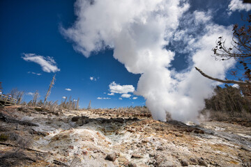 Closeup of a geyser in Yellowstone National Park