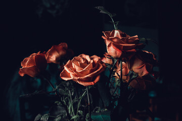 Closeup shot of a fresh roses bouquet on a dark background - Powered by Adobe