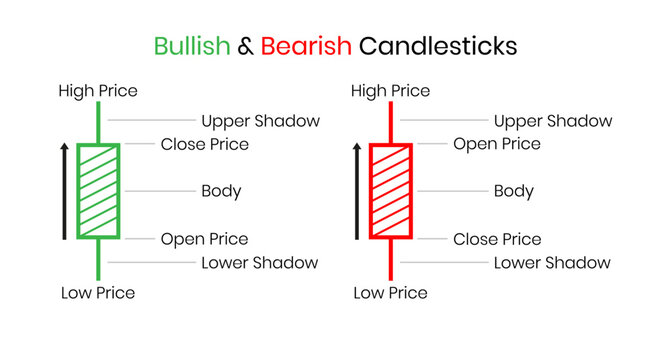 Simple template of Japanese candlestick chart components part. Bullish and Bearish system  design. Stock, crypto,  and forex investment trading analysis.