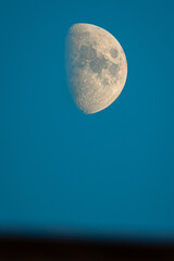 Moon in its Waxing Gibbous phase