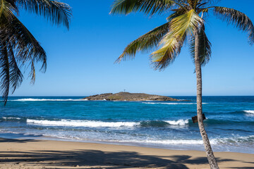 palm trees on the beach Pueto Rico