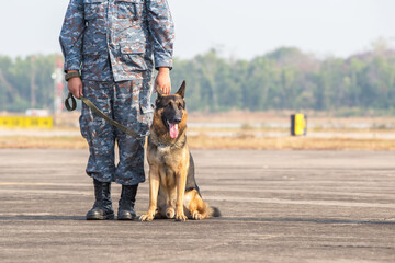 Smart police dog sitting outdoors. The border troops demonstrate the dog's ability to detect...