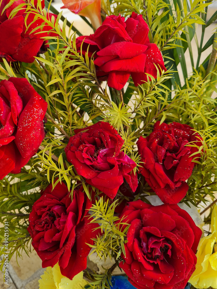 Poster Closeup of beautiful red flowers in a garden