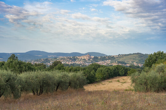 View of Sinalunga town in Tuscany, Italy