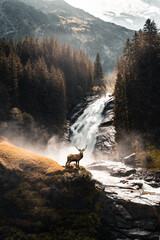 Fototapety  Beautiful shot of a deer with a waterfall and trees in the background