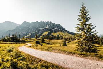 Empty narrow road surrounded by trees and mountains on a sunny day