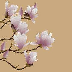 03_magnolia_4500x4500