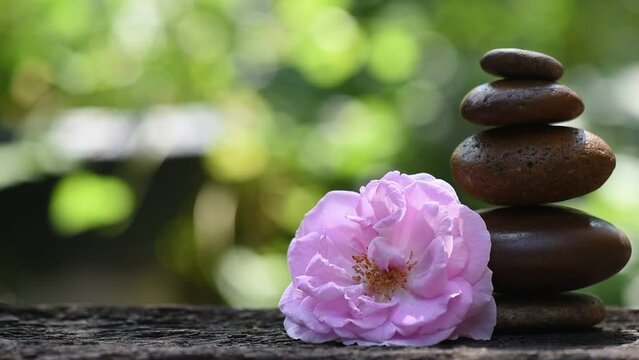 Aromatherapy with damask rose  and stones on bokeh nature background.