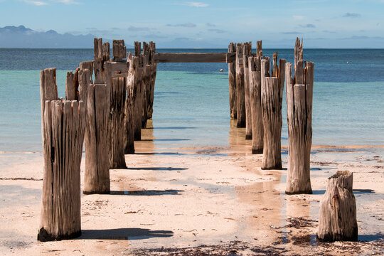 View Of An Old Jetty Flinders Island Tasmania