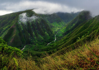 Aerial view of green hills and valleys in Maui, Hawaii