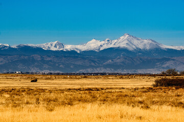 Beautiful shot of dry fields near mountains in Denver, Colorado © Christopher Vargas/Wirestock