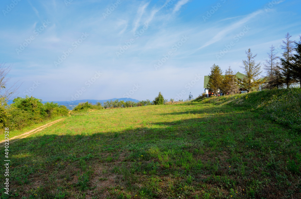 Poster scenic view of green grass in the field on a sunny day