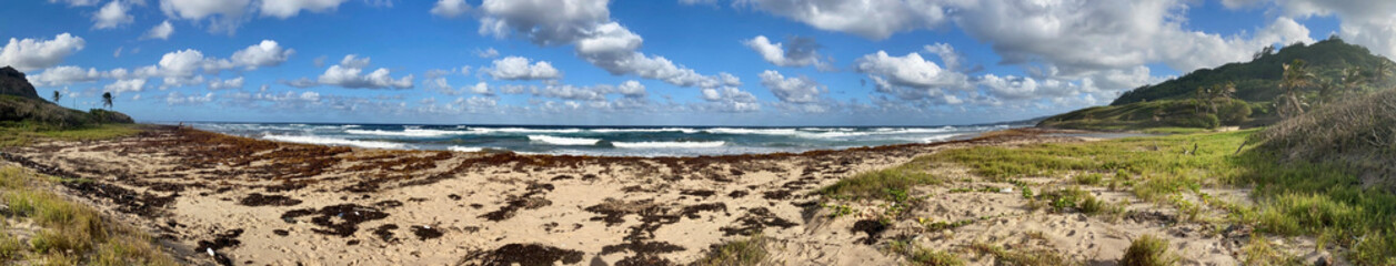 Panoramic view of Cattlewash beach on the East Coast of Barbados - obrazy, fototapety, plakaty