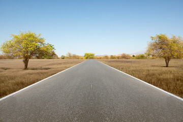 Asphalt road with grass and trees